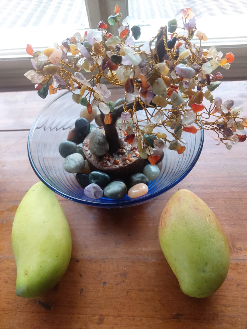 Tis the season of mango musings